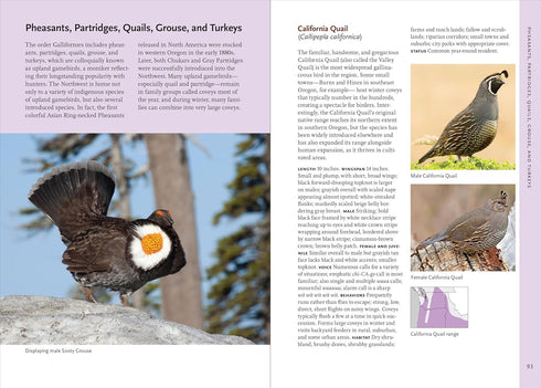 BIRDS OF THE PACIFIC NORTHWEST - SHEWEY. JOHN